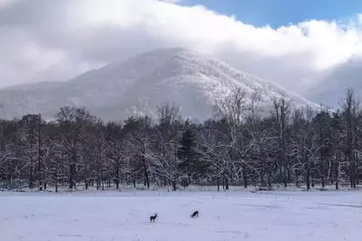 Cades cove in winter with snow