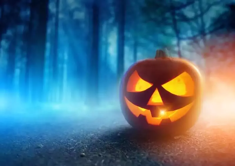 A glowing jack-o'-lantern in the forest.