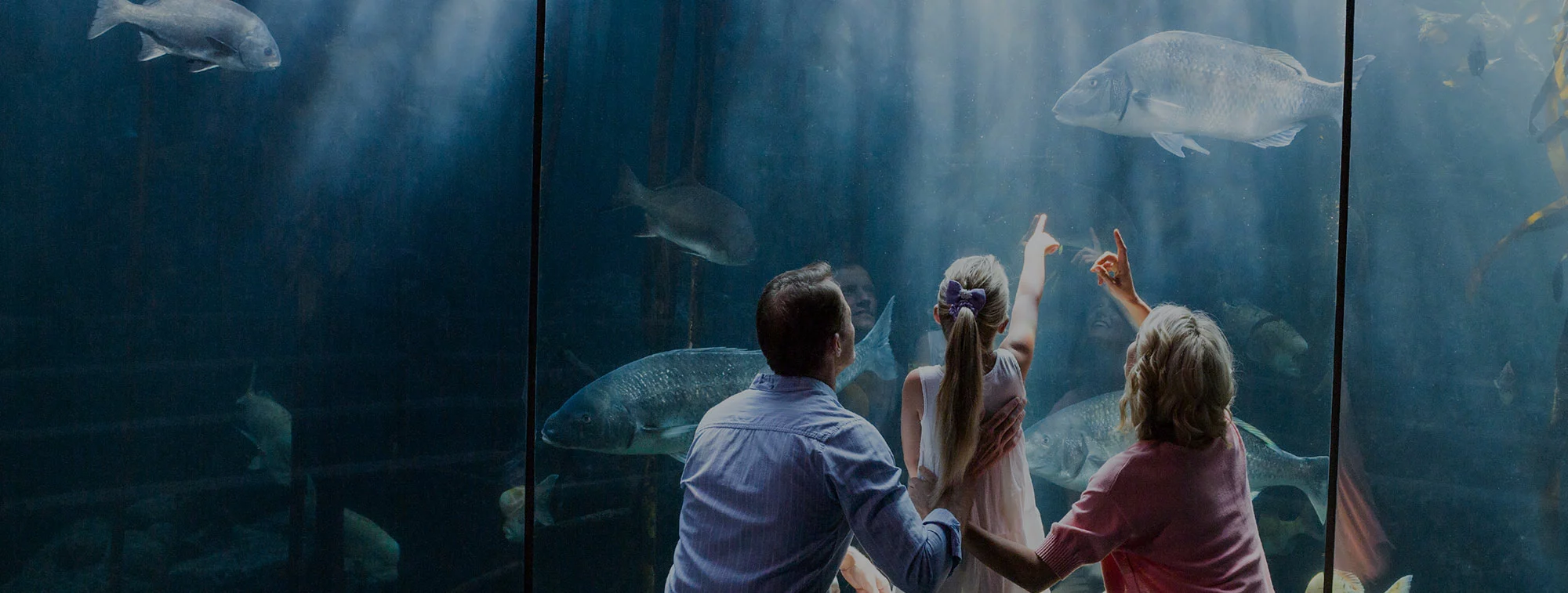 family at Ripley's Aquarium of the Smokies