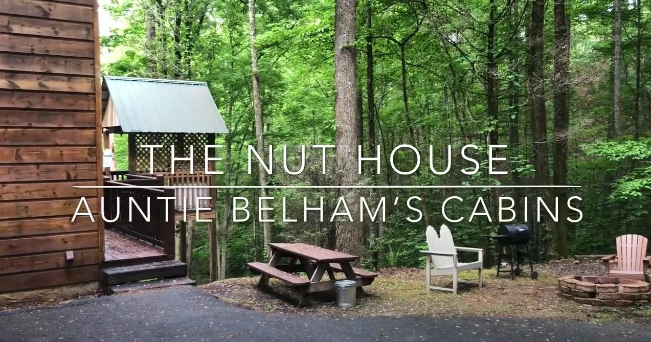 THE NUT HOUSE