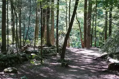 Gatlinburg Trail in the Great Smoky Mountains National Park 