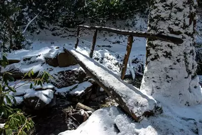 winter hiking trail in the Smoky Mountains