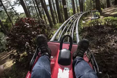 person riding a mountain coaster in Gatlinburg