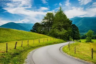 The Cades Cove Loop Road.