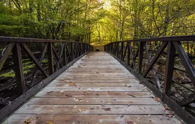 bridge on the Gatlinburg trail