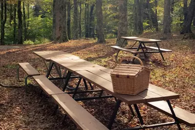 picnic tables