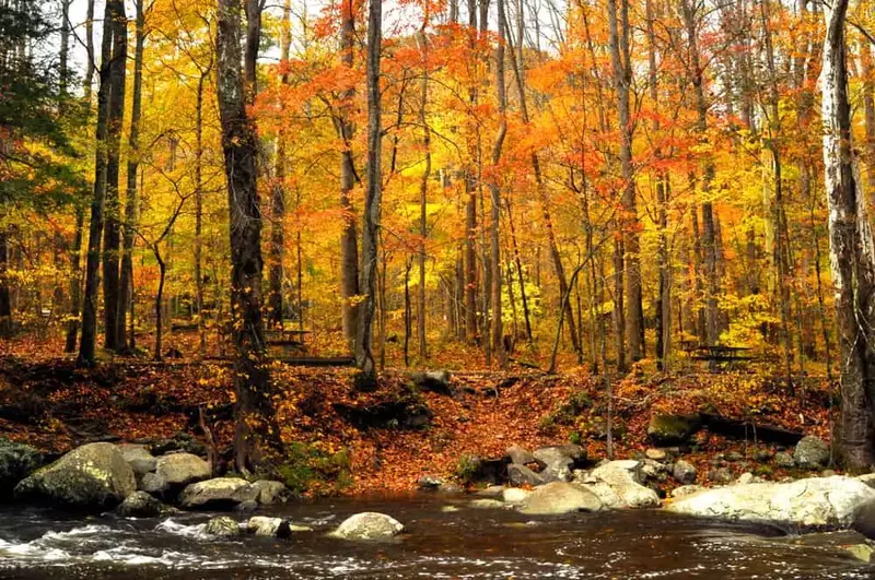 smokies in fall