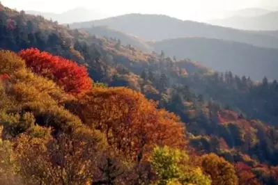 fall in smokies