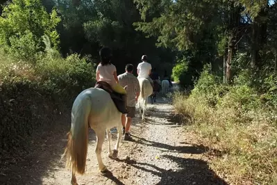 horseback riding in Gatlinburg TN