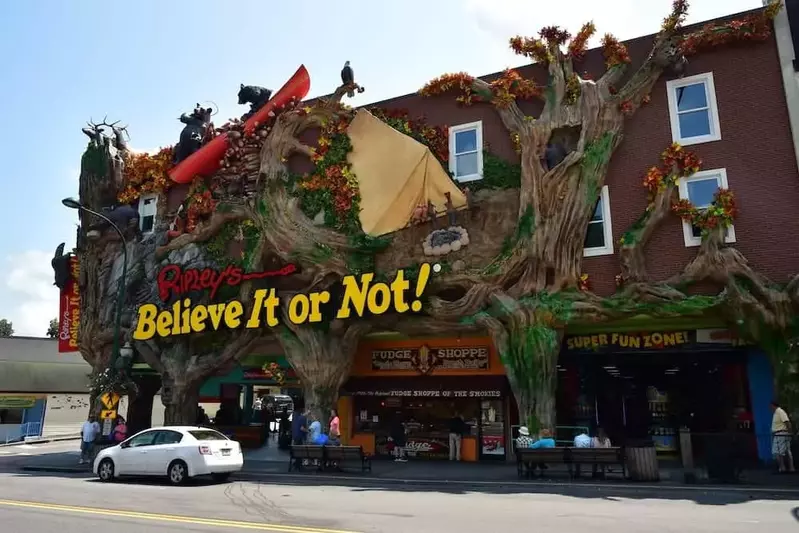 ripley's odditorium