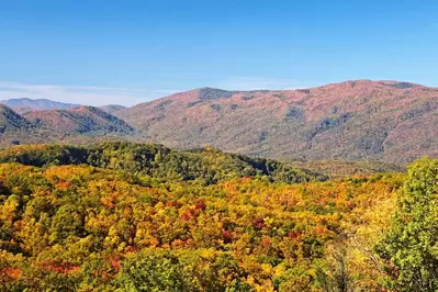 Incredible fall colors in the mountains near Gatlinburg TN.