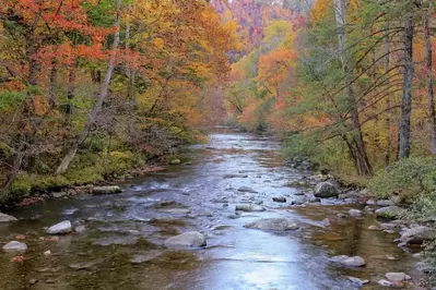 Fall colors at Great Smoky Mountains National Park by the river