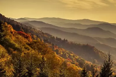 Fall foliage at Great Smoky Mountains National Park