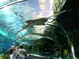 ripleys-aquarium