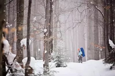 A woman hiking in a snowy forest.