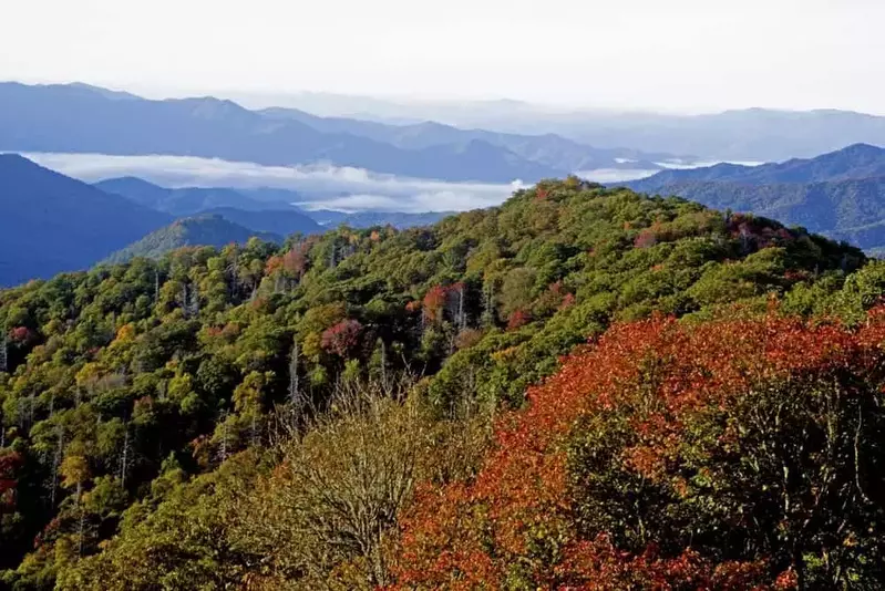 Fall in the Great Smkoy Mountains National Park