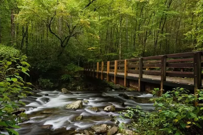 river in the smoky mountains