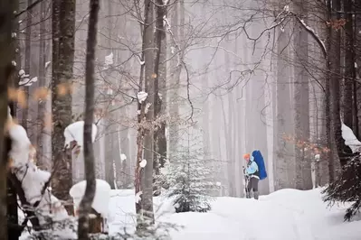 A woman hiking through the forest in the winter.