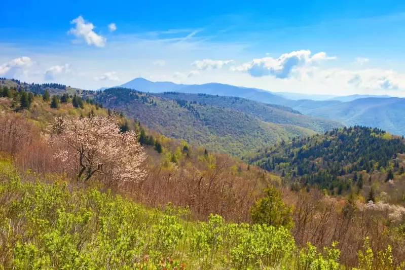 Gatlinburg cabin vacaiton in Spring