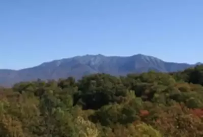 View from the Majestic View cabin