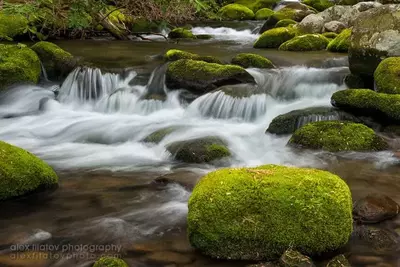 Appalachian Stream