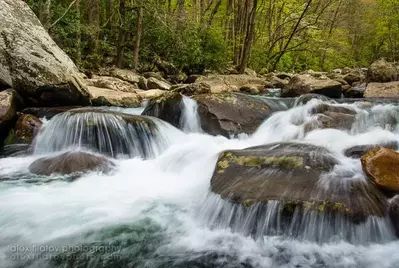 Elkmont Cascades