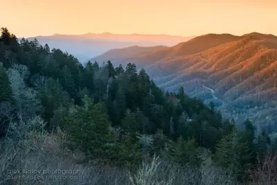 Newfound Gap