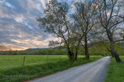 Peaceful Country Morning - Sparks Lane