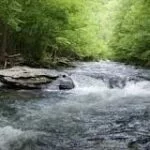 fishing river gatlinburg