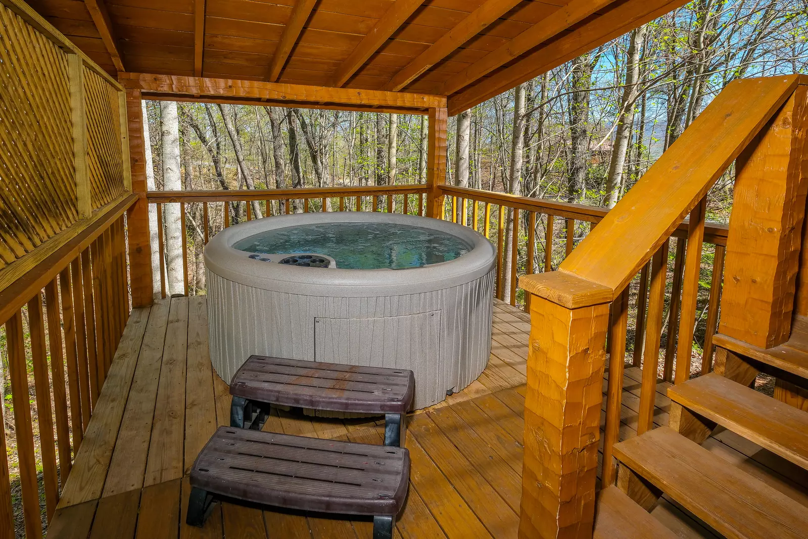 LECONTE VIEW