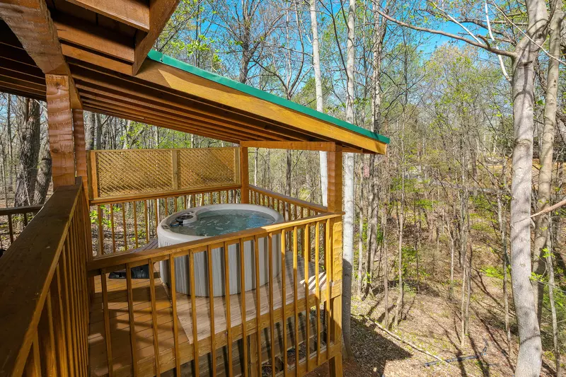 LECONTE VIEW