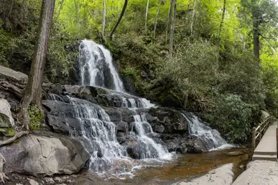 laurel falls is one of the best beginner hikes in the Smoky Mountains