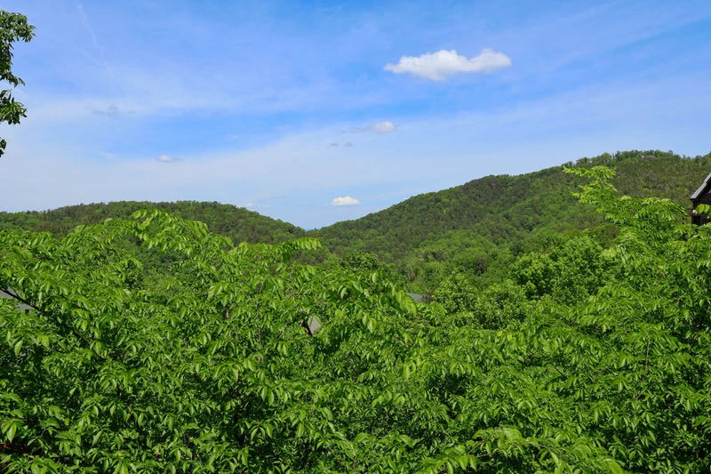 MARGARITA MOUNTAIN