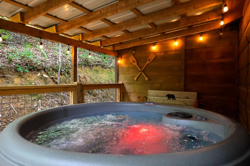 GOOD AURA CABIN