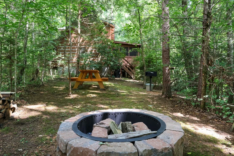 THE LOON'S NEST