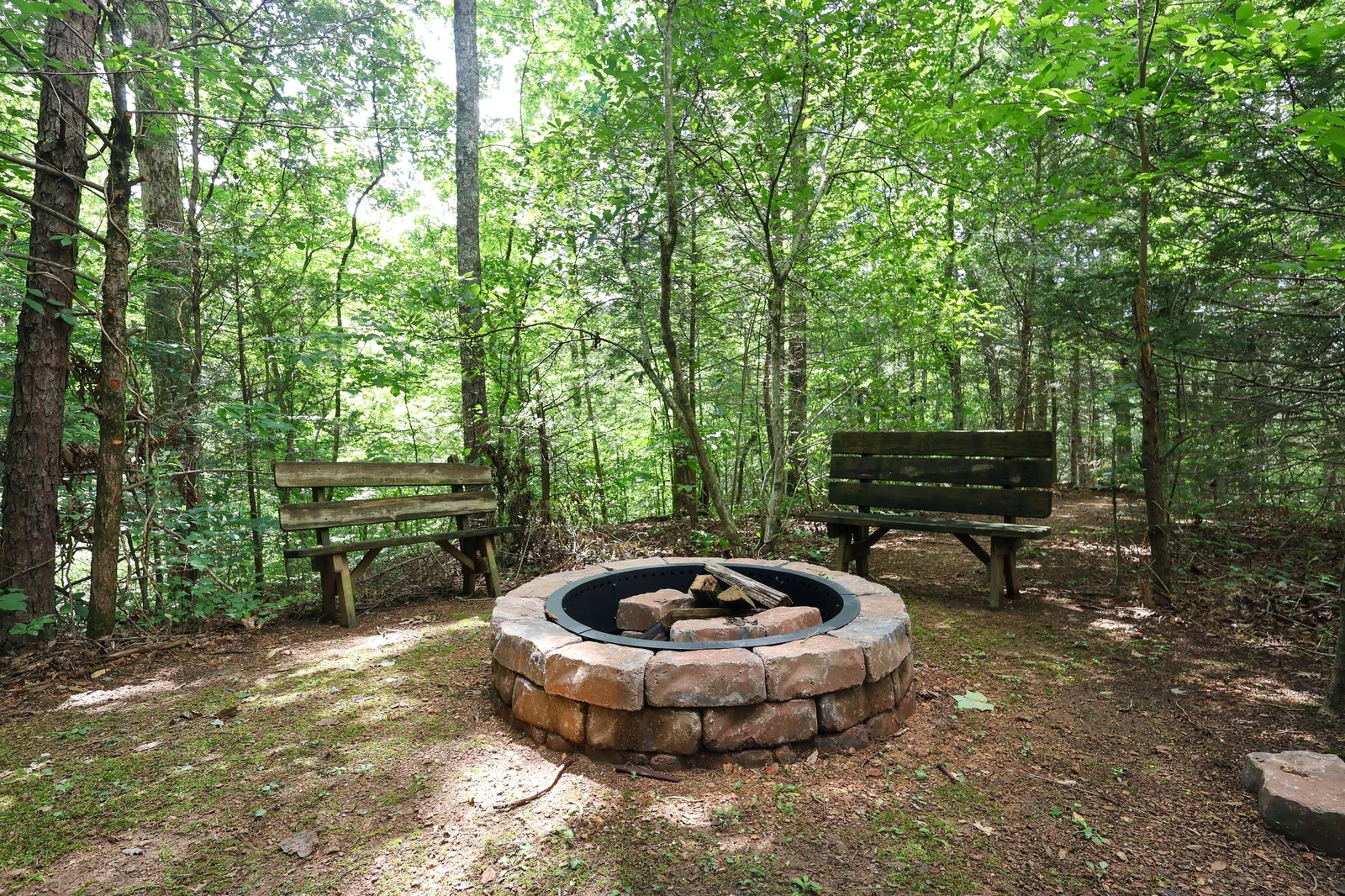 THE LOON'S NEST