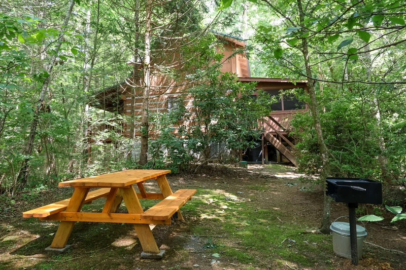 THE LOON'S NEST