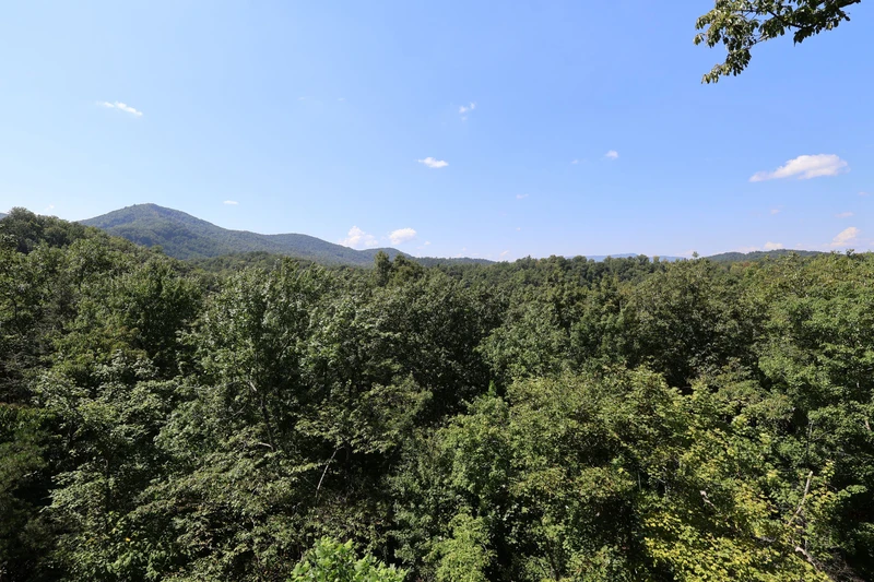 WHISKEY WOODS